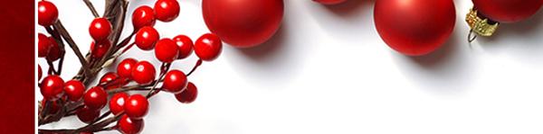 MTEC Holiday Celebration